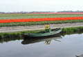 Benelux - květinová pole